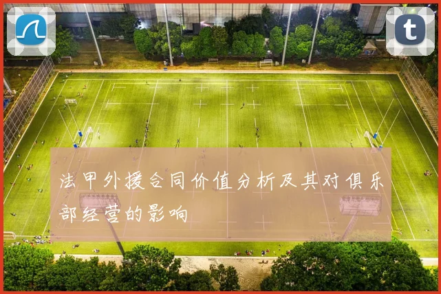 法甲外援合同价值分析及其对俱乐部经营的影响