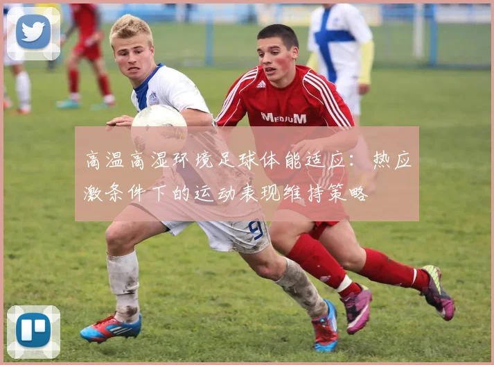 高温高湿环境足球体能适应：热应激条件下的运动表现维持策略